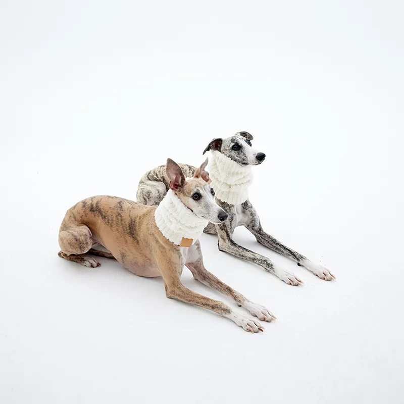 KNOWZA Pet Clothing-5