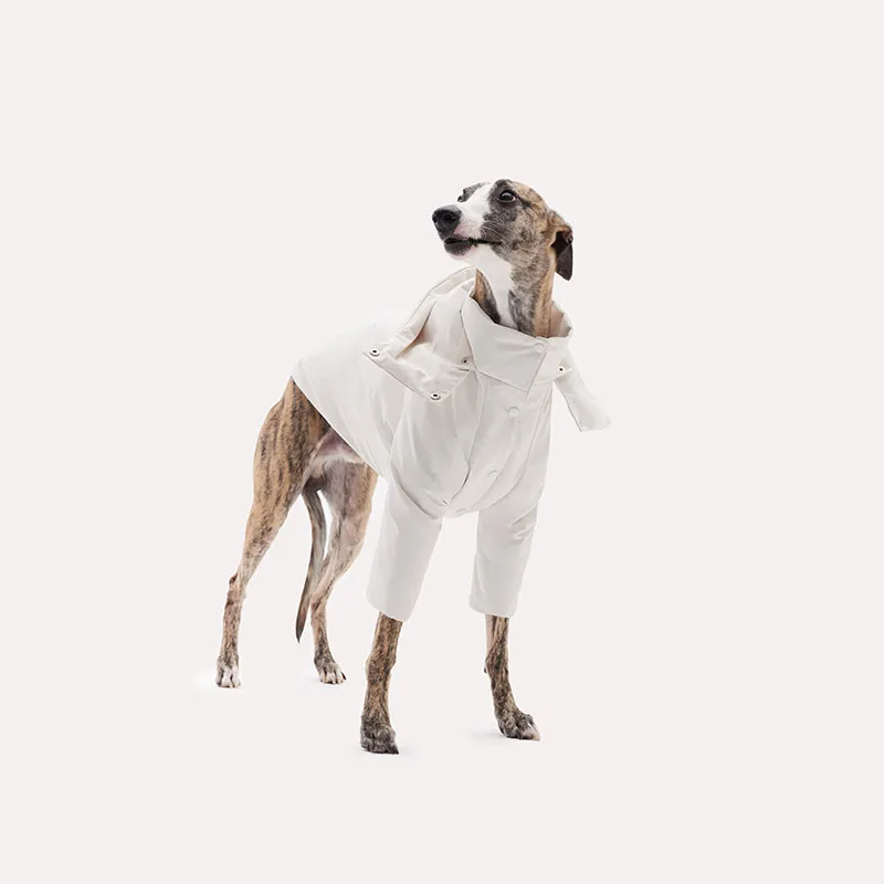 KNOWZA Pet Clothing-6