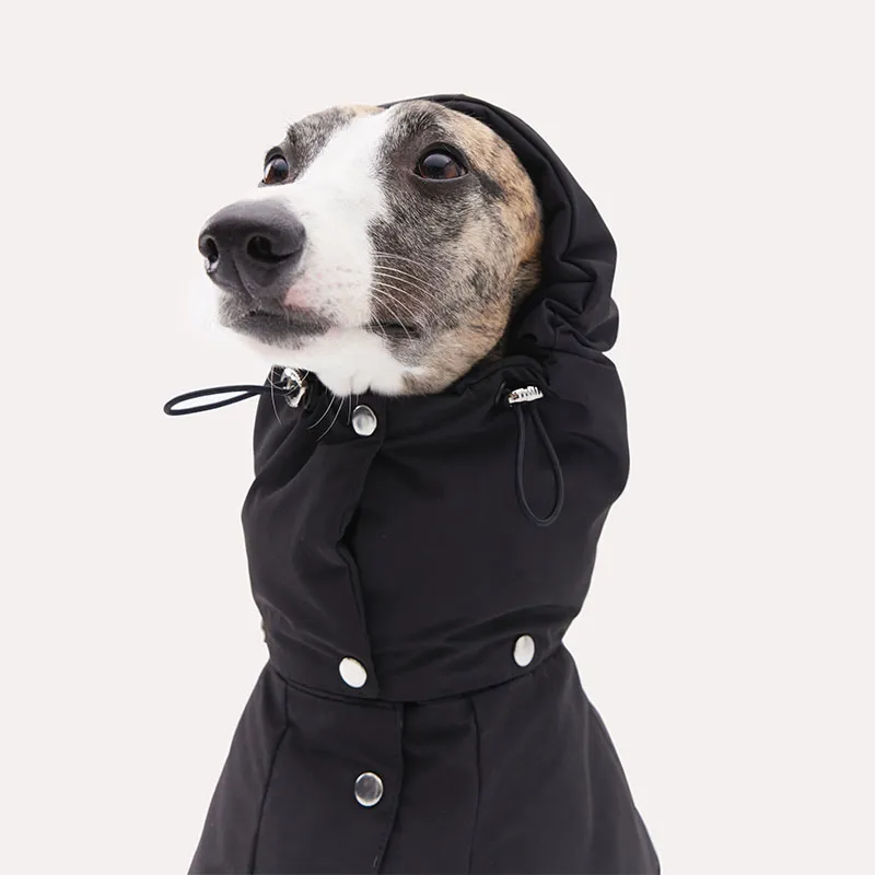 KNOWZA Pet Clothing-4