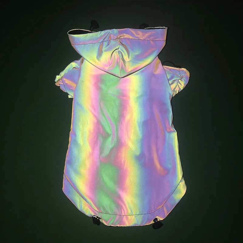 Nerve cats Pet Clothing-2