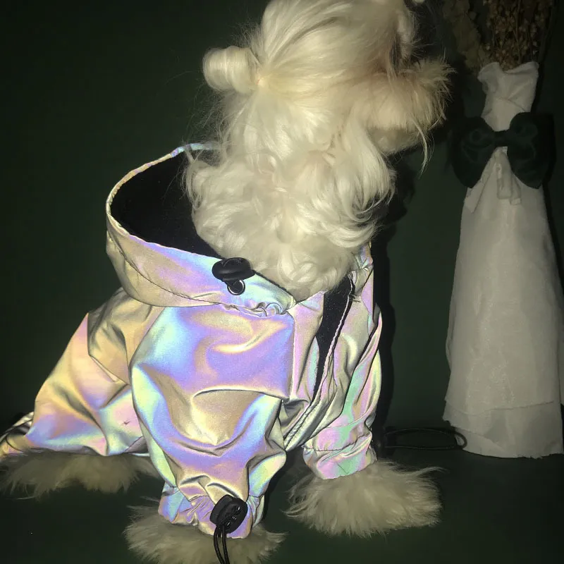 Nerve cats Pet Clothing-1