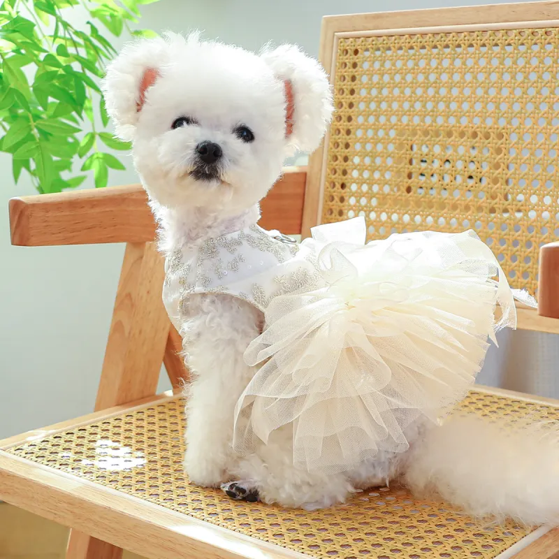 Nerve cats Pet Clothing-1