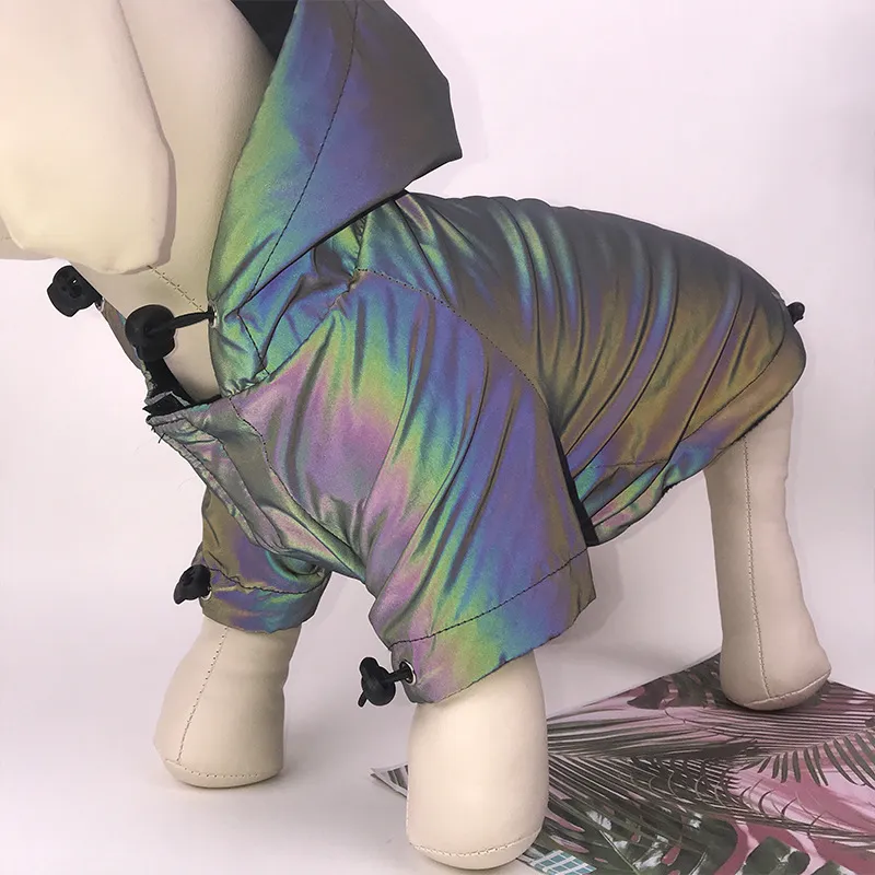 Nerve cats Pet Clothing-3