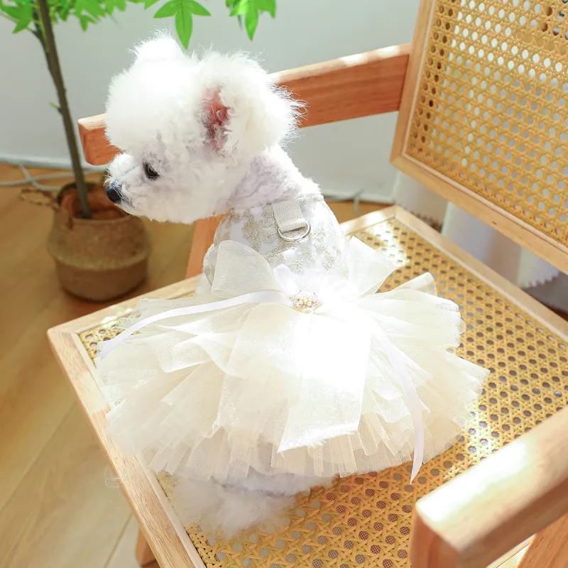 Nerve cats Pet Clothing-2