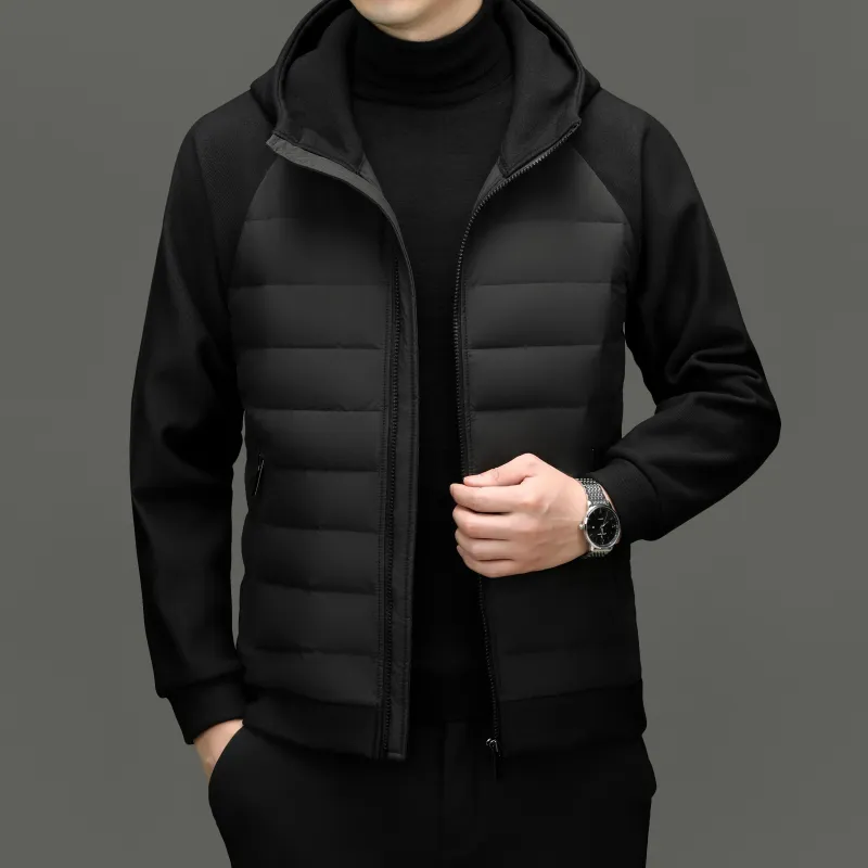 PIERRE CARDIN Down Jacket Men's-2