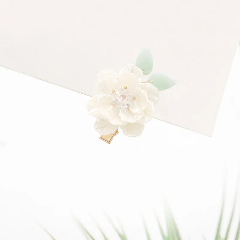Crafts Women's Resin Hair Clips Women's-3