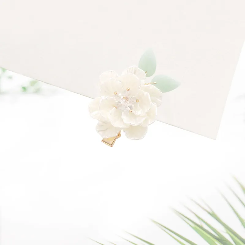 Crafts Women's Resin Hair Clips Women's-2