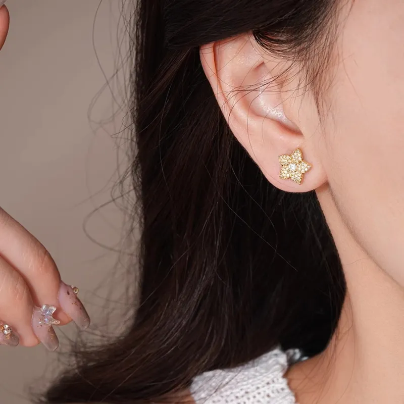 Drejew Zircon Stud Earrings Women's-3