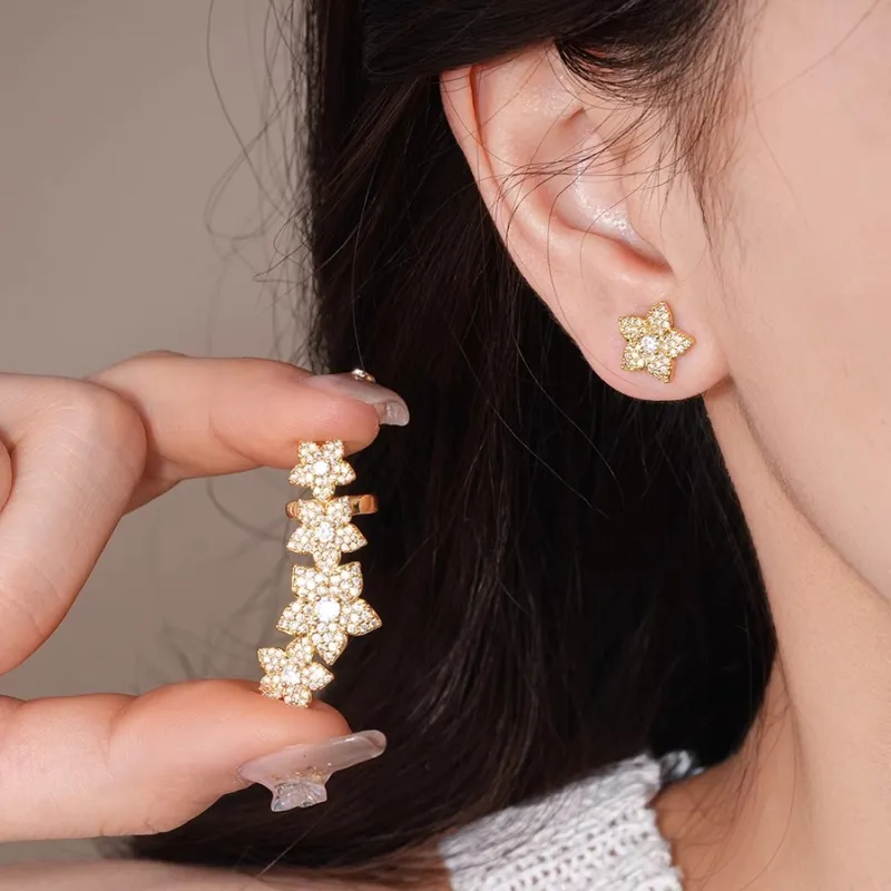Drejew Zircon Stud Earrings Women's-1