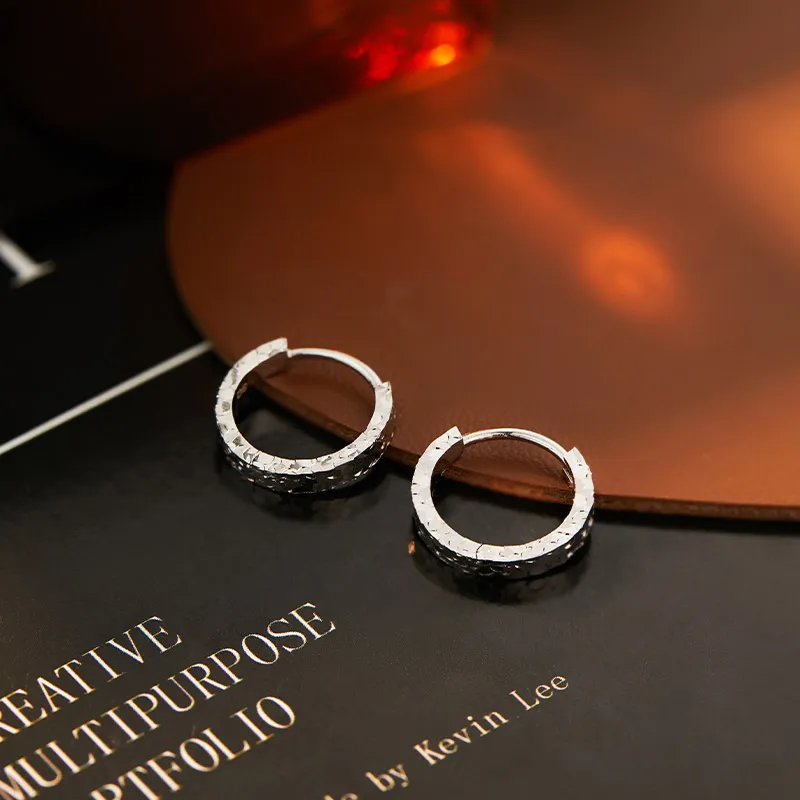 Shunqin Silver Building S925 Silver Earrings Women's-1