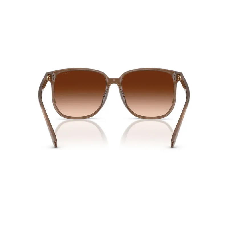 COACH Injection Molded Square Sunglasses Unisex-4