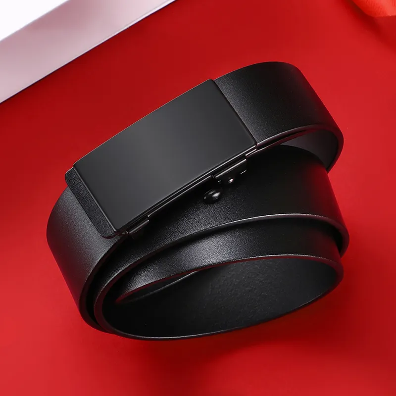 VINEY Top Grain Cow Leather Belts Men's Width 3.1cm-2