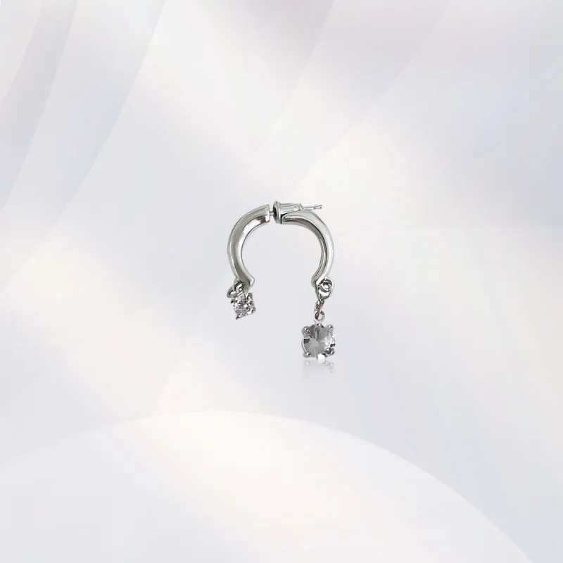 GUDS GAVE Zircon Earrings Unisex-2