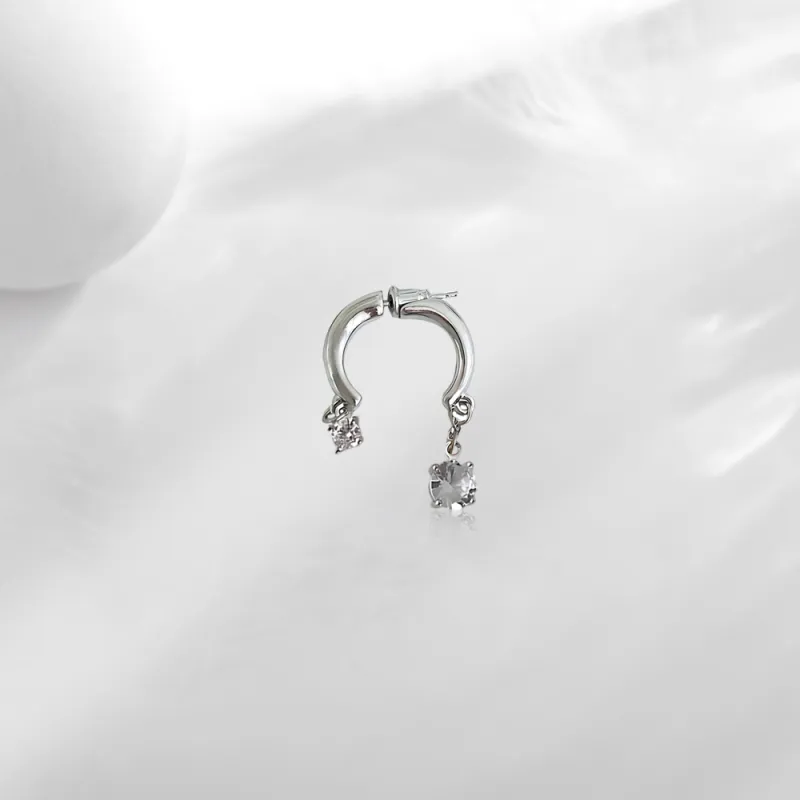 GUDS GAVE Zircon Earrings Unisex-1