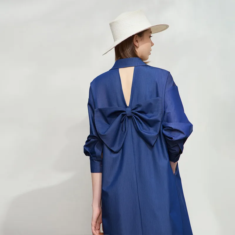 AMII Long Sleeved Dress Women's Denim Blue-3