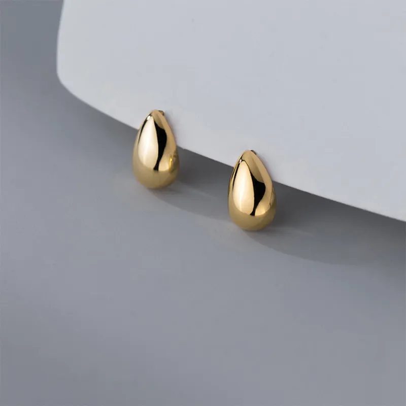 AGOVSKI S925 Silver Earrings Women's-4