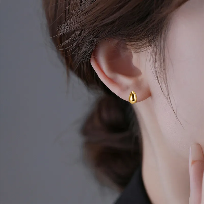 AGOVSKI S925 Silver Earrings Women's-3