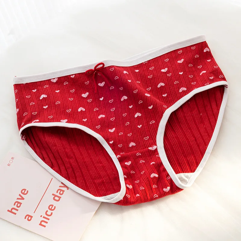 FENTENG Underpants Women's 3 Pack-14