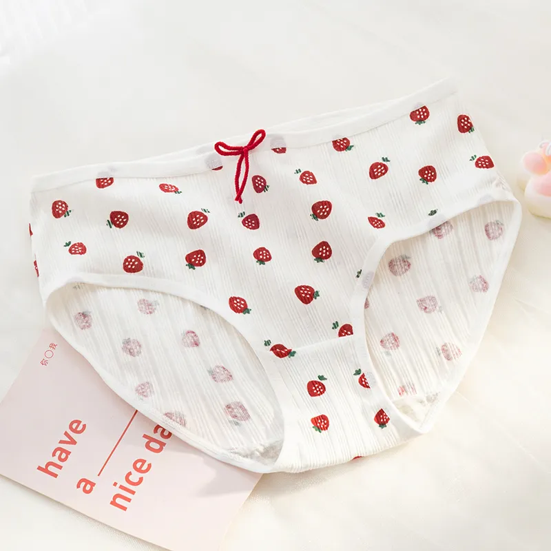 FENTENG Underpants Women's 3 Pack-13