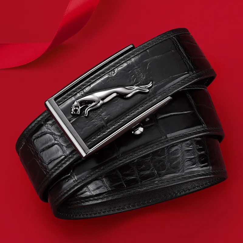 JAGUAR Crocodile Leather Leather Belts Men's Black Width 3.7cm-6