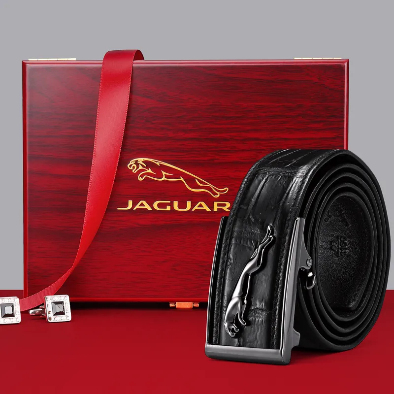 JAGUAR Crocodile Leather Leather Belts Men's Black Width 3.7cm-5