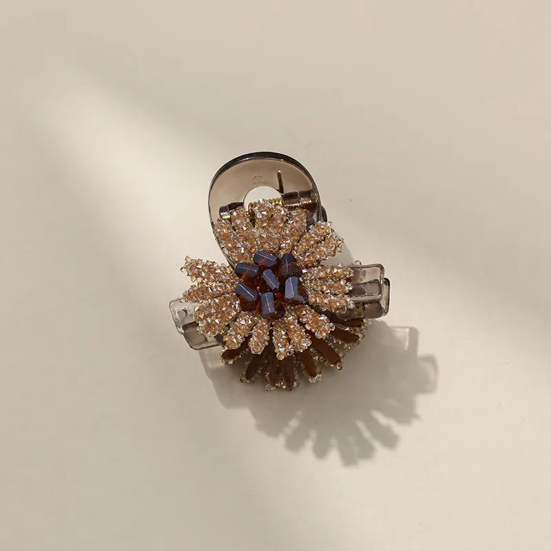 CHIMERA Resin Hair Clips Women's-3