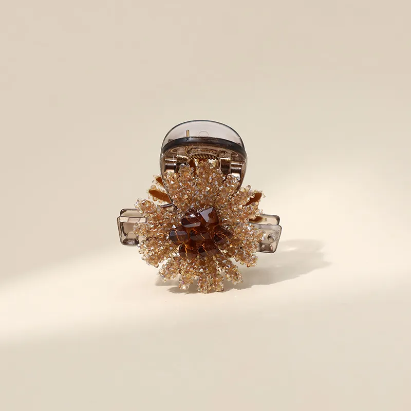 CHIMERA Resin Hair Clips Women's-1