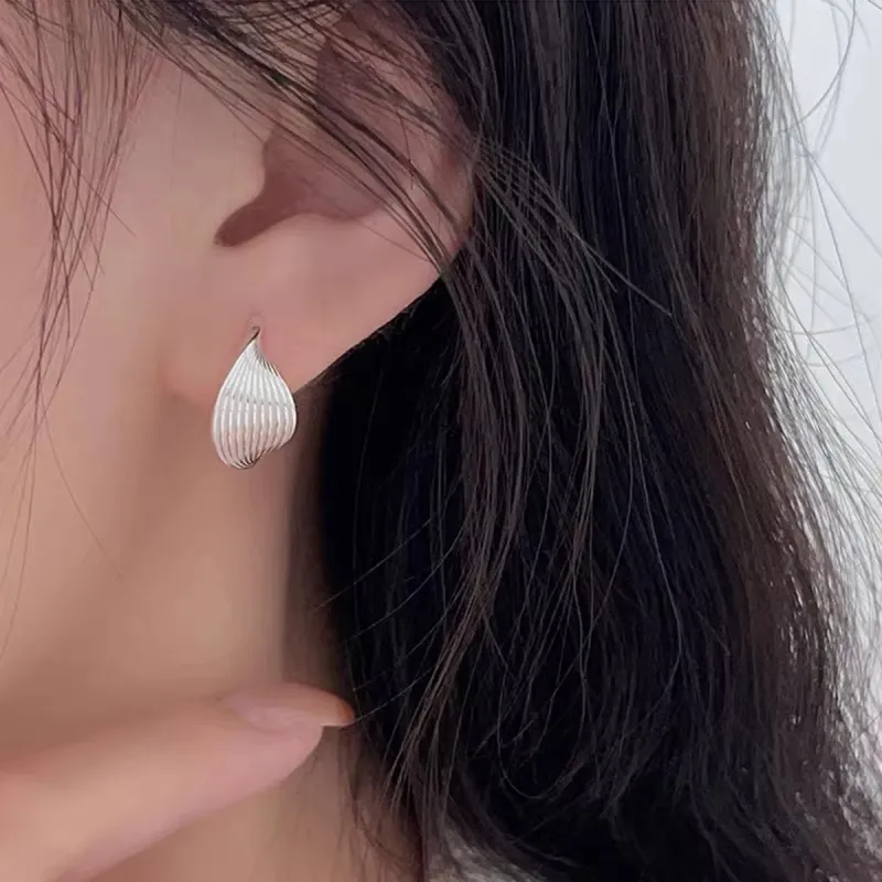 Beauty S925 Silver Earrings Women's-3