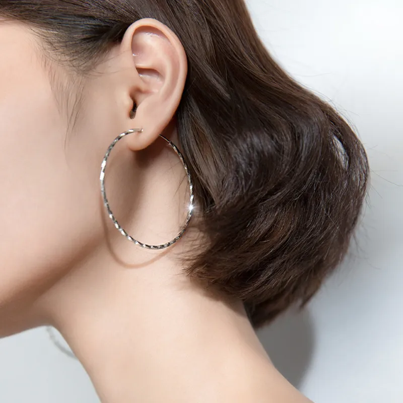 Beauty 925 Sterling Silver Earrings Women's-1