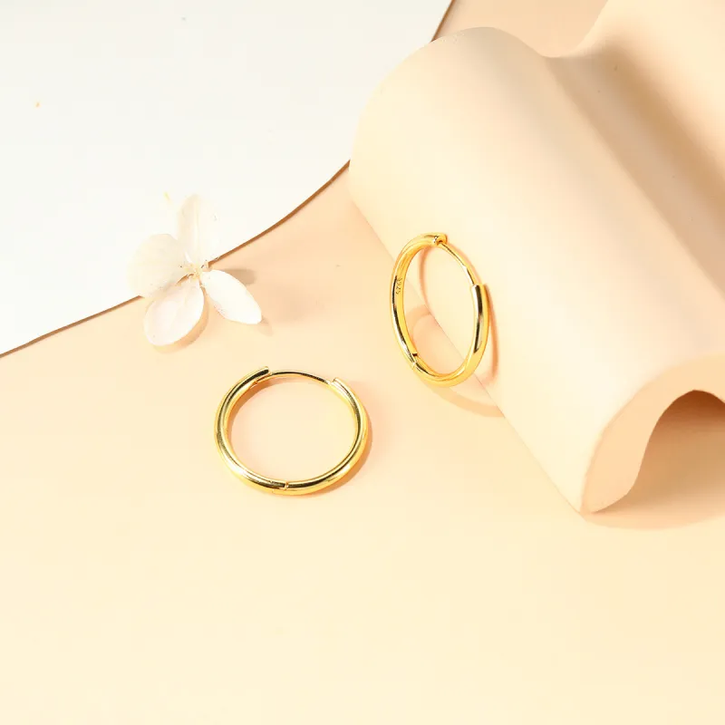 Beauty S925 Silver Earrings Women's-2