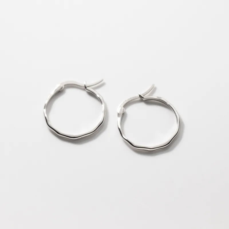 Beauty S925 Silver Earrings Women's-4