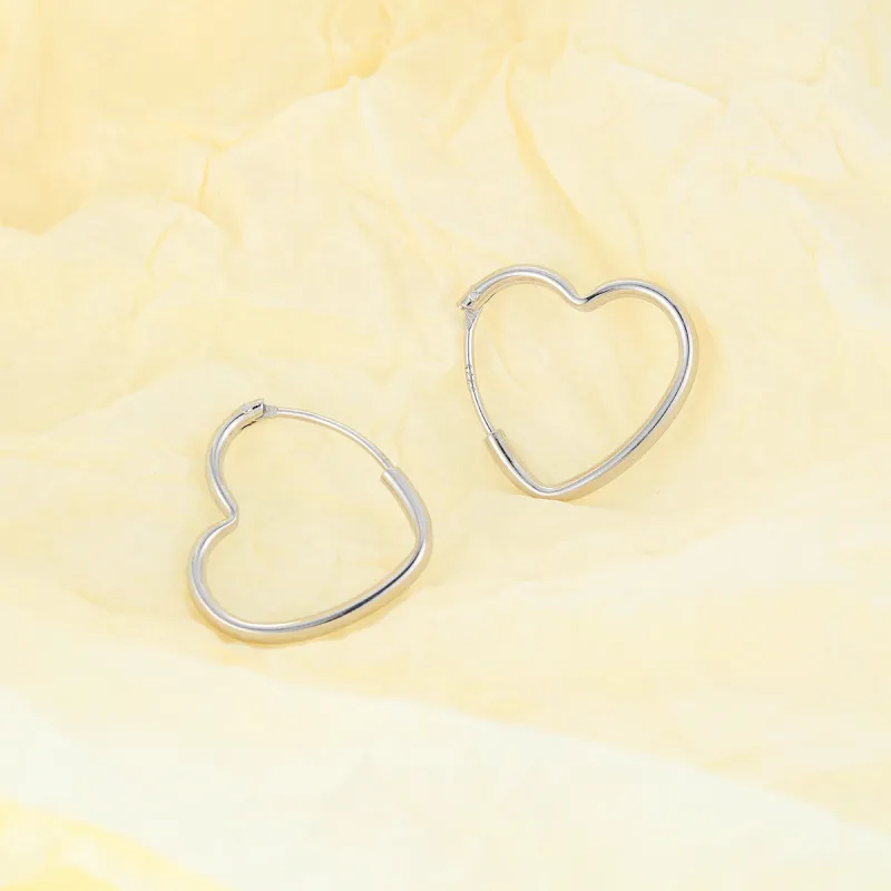 Beauty 925 Sterling Silver Earrings Women's-3
