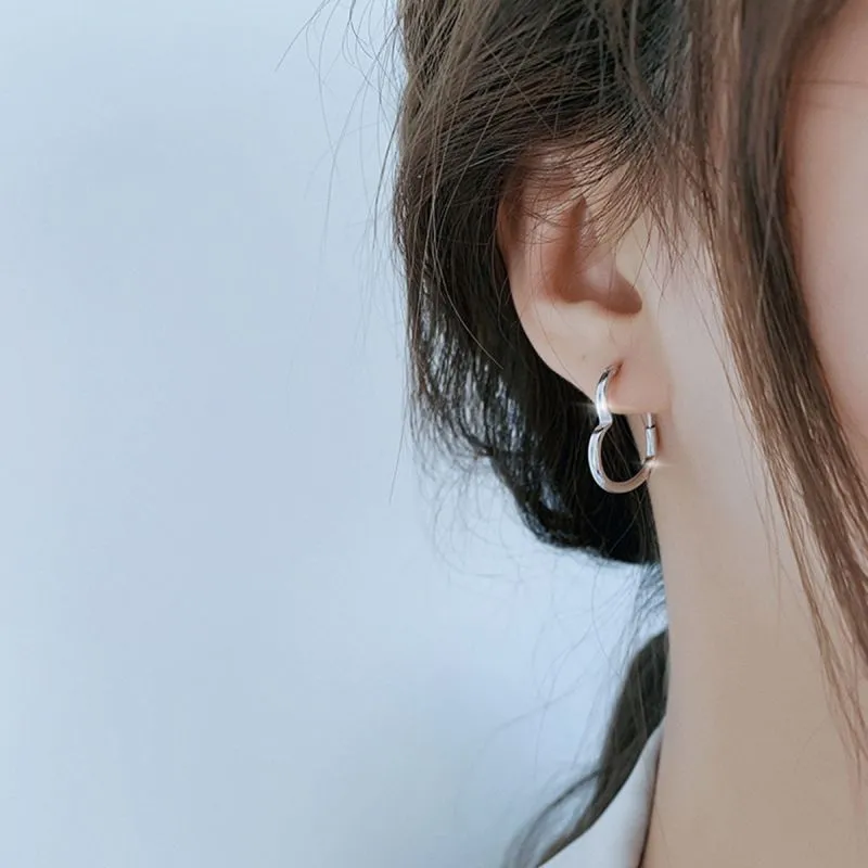 Beauty S925 Silver Earrings Women's-1