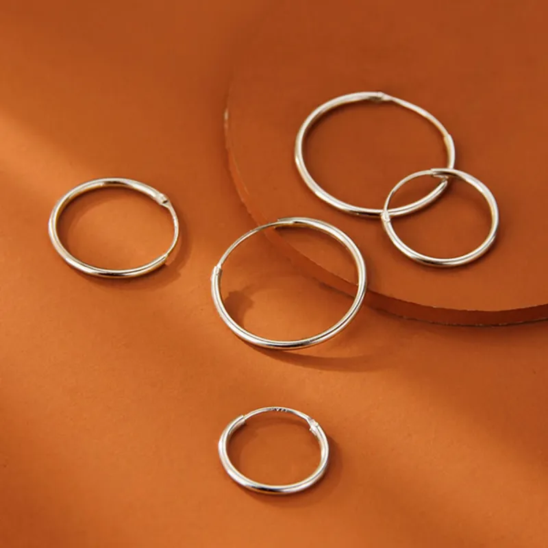 Beauty S925 Silver Earrings Women's-4