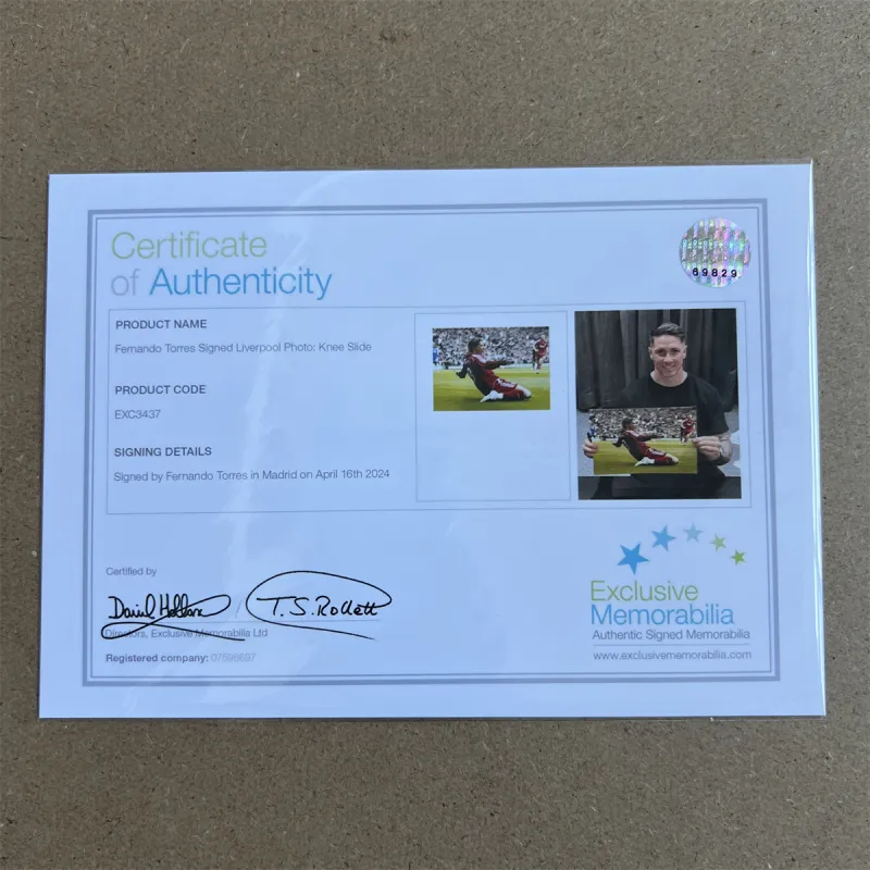 EM Torres Includes Certification Certificate Outer Frame Size 38.6x48.6cm-3
