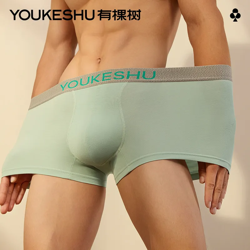 YOUKESHU Men Underpants-1