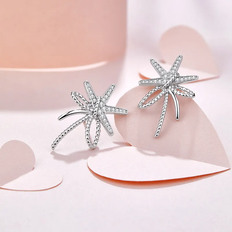 KAiLA S925 Silver Stud Earrings Women's Love Confession Gift Box-1