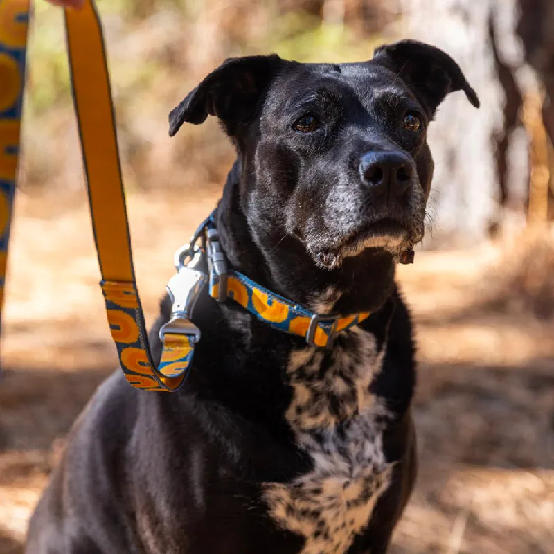 Ruff Wear Leashes-1