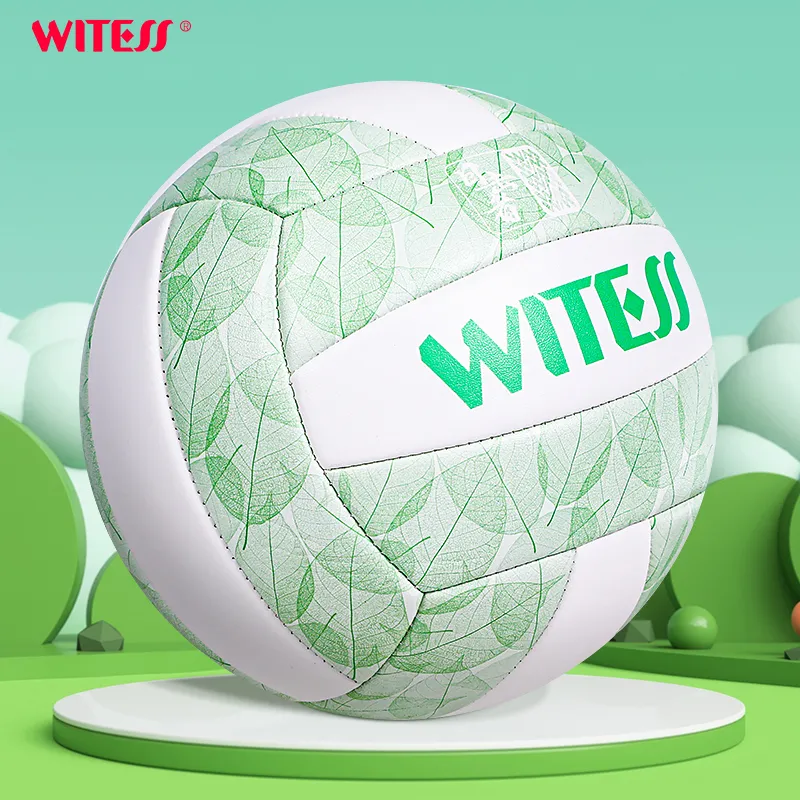 WITESS Volleyball-18