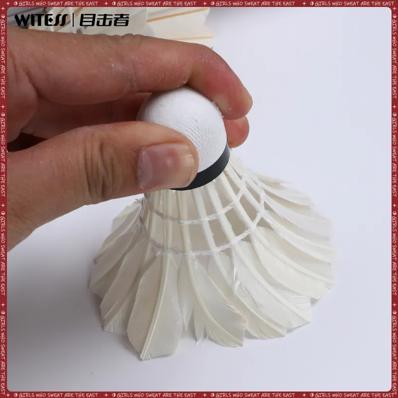 WITESS YB407A 6 Pack Duck Feather Big Board Duck Feather Training Competition Shuttlecocks-4