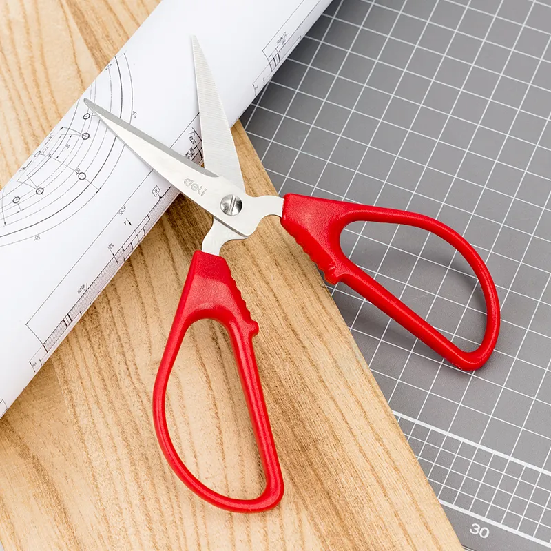 Deli Stainless Steel Material Office And Household Scissors-4