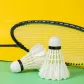 F2202 Badminton 12 Pack