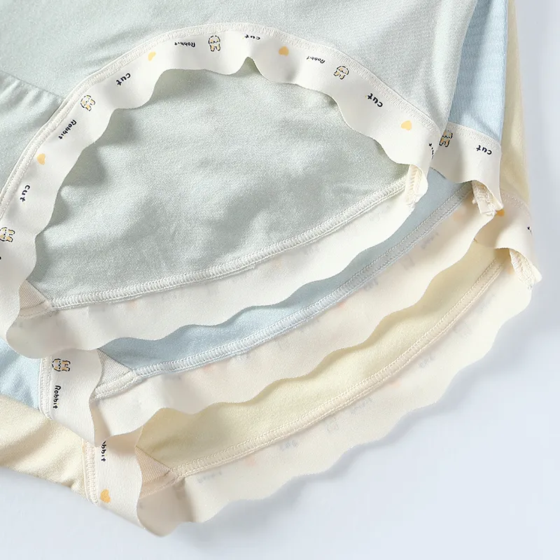 FENTENG Underpants Women's 4 Pack-3