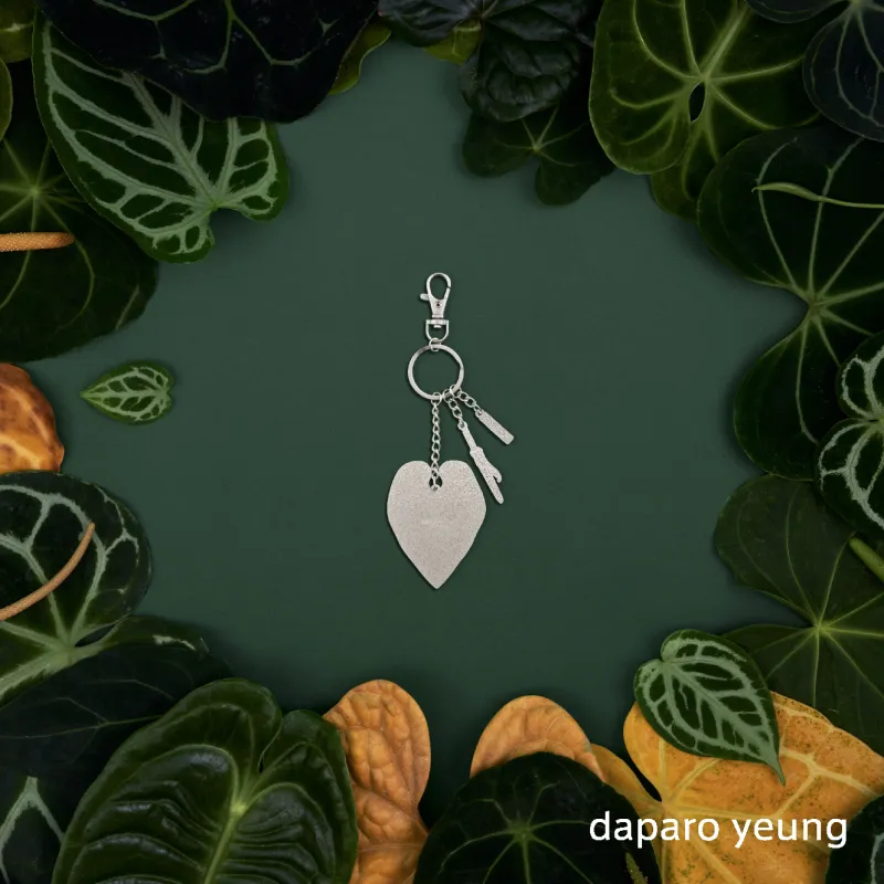 Daparo Yeung Zinc Alloy Keychains Unisex-2