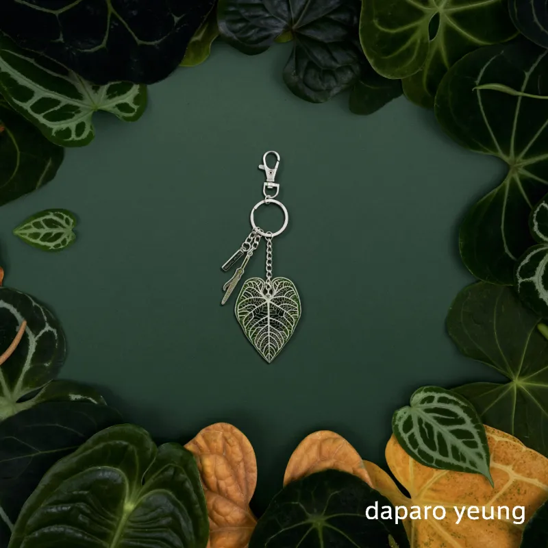 Daparo Yeung Zinc Alloy Keychains Unisex-1