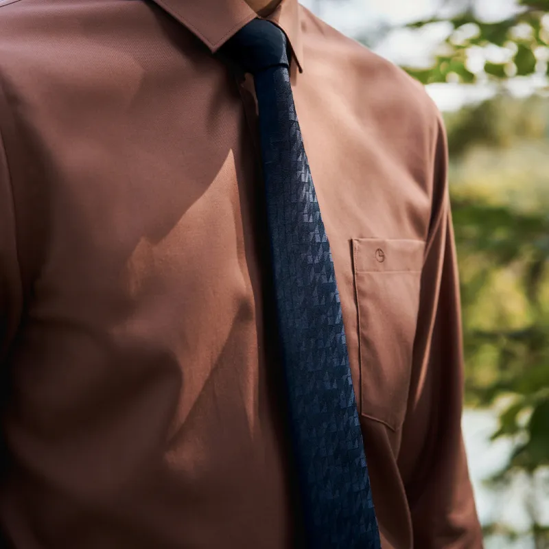 GOLDLION Polyester Ties Men's Blue-4