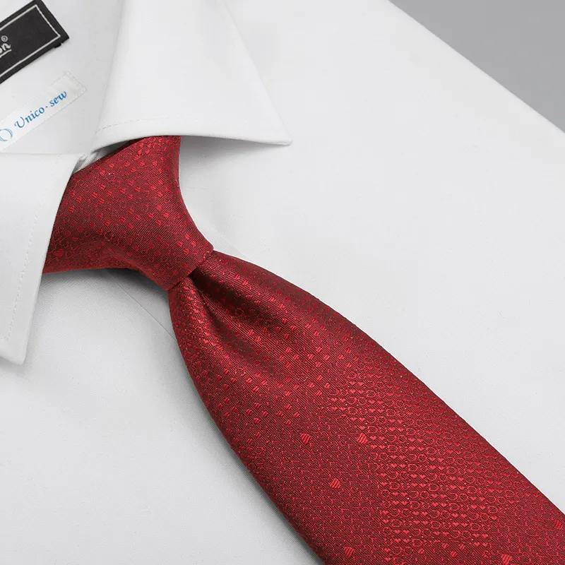 GOLDLION Polyester Ties Men's Red-1