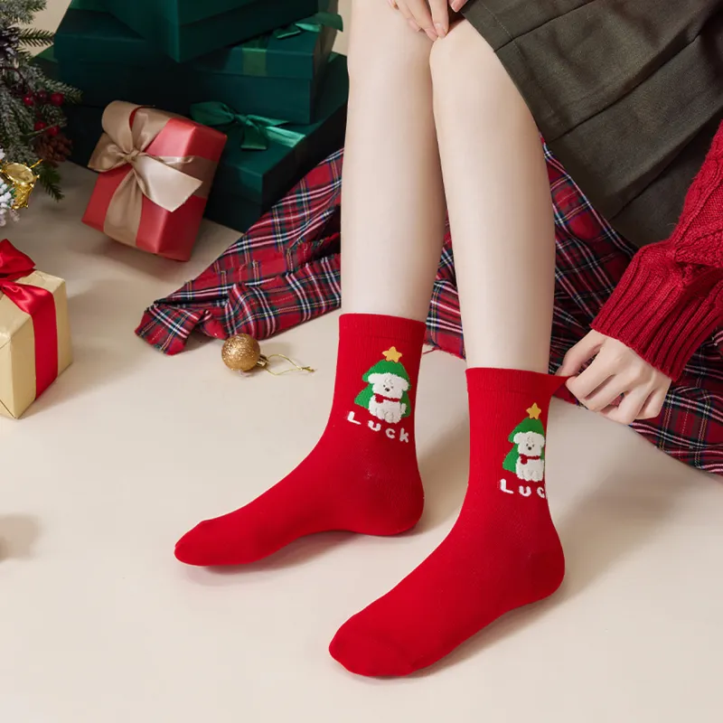 Caramella Mid Calf Socks Unisex Gift Box Of 6 Doubles-5