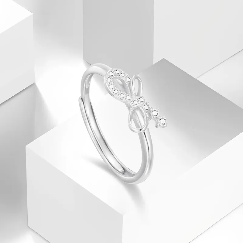 WANLIACC S925 Silver Rings Women's-2