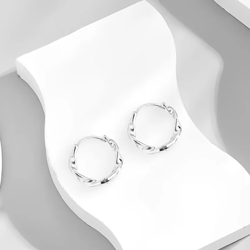 WANLIACC Alloy Earrings Women's-2